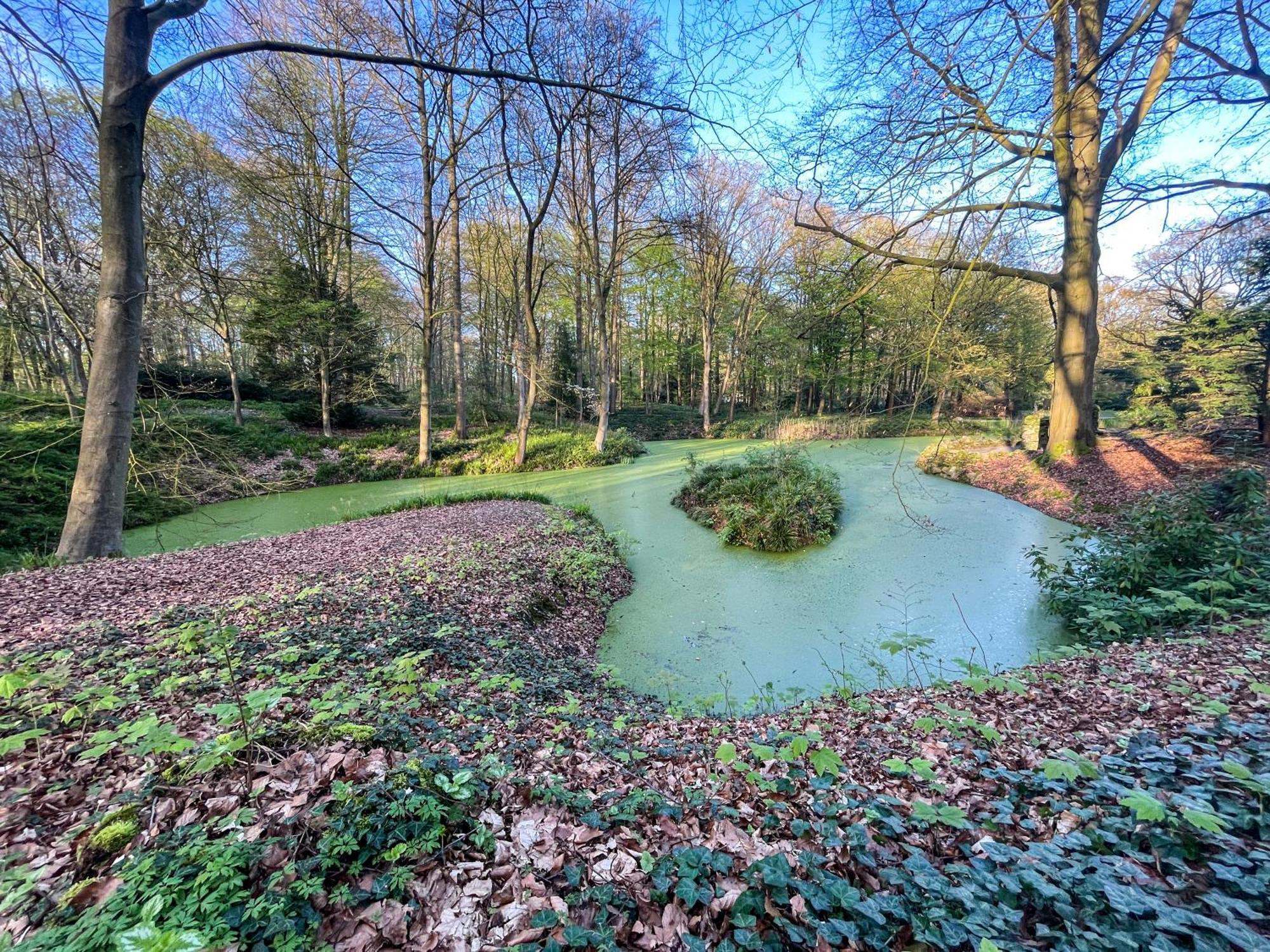 Landhaus Beim Knoops Park BRE Dış mekan fotoğraf
