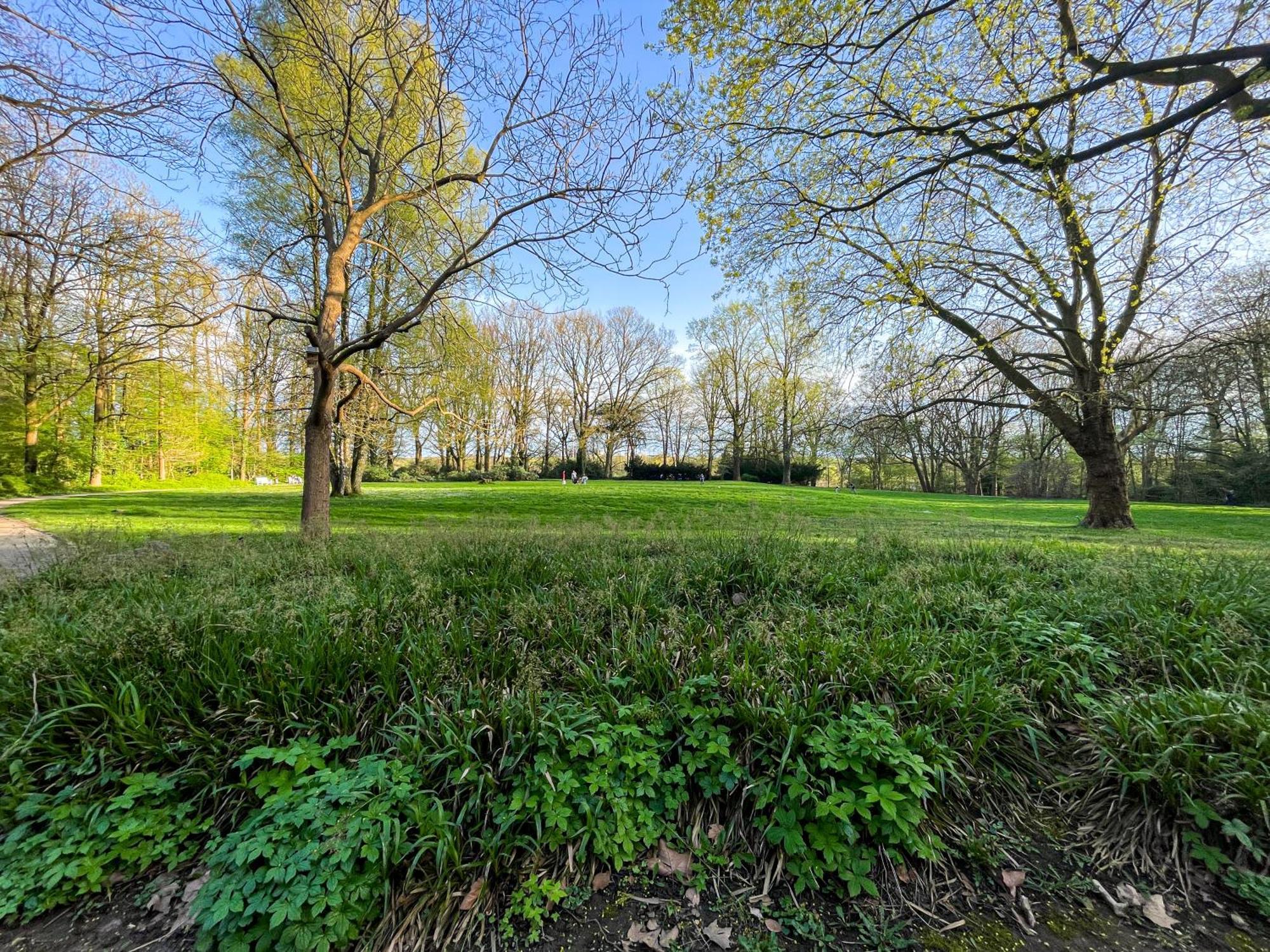 Landhaus Beim Knoops Park BRE Dış mekan fotoğraf
